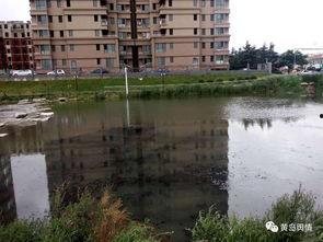 新村大河爆料最新消息,新村大河事件进展揭秘