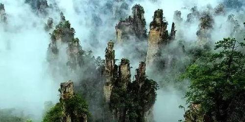 吃瓜最新事件爆料张家界,吃瓜群众揭秘最新神秘事件