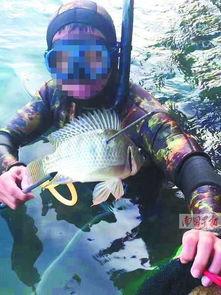 鱼爆料的视频大全最新,揭秘娱乐圈幕后真相